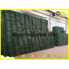 Grass Planting Grid/Plastic Grass Paver